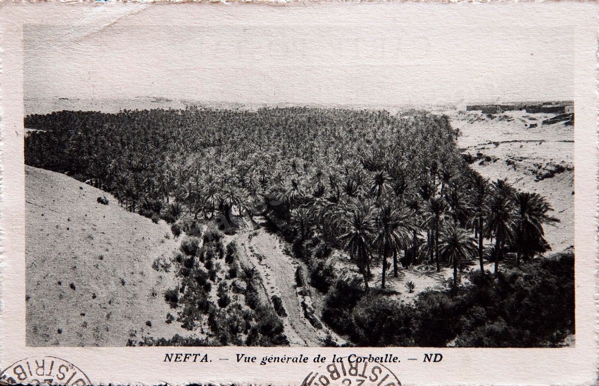 P161-104