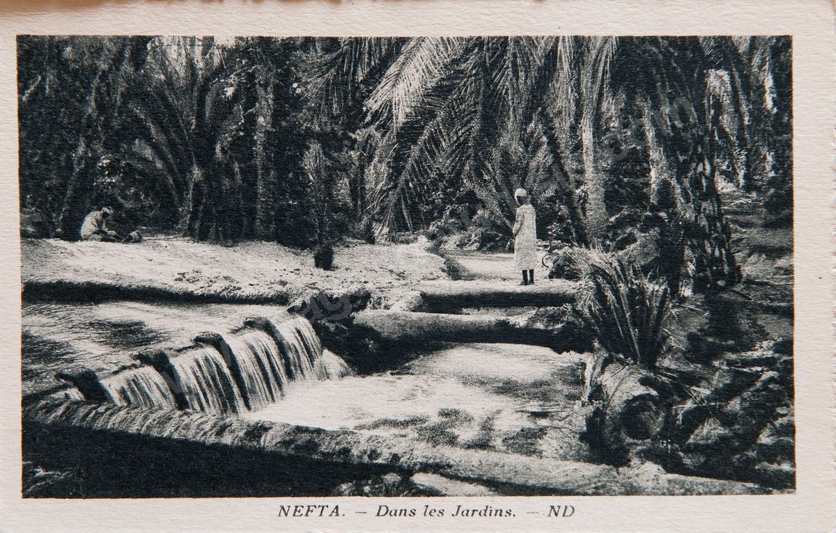 P161-109