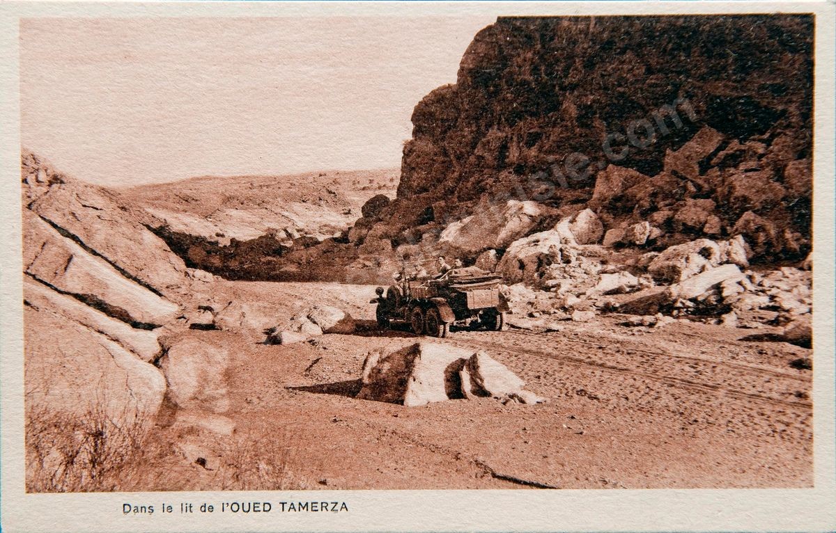P163 TAMERZA