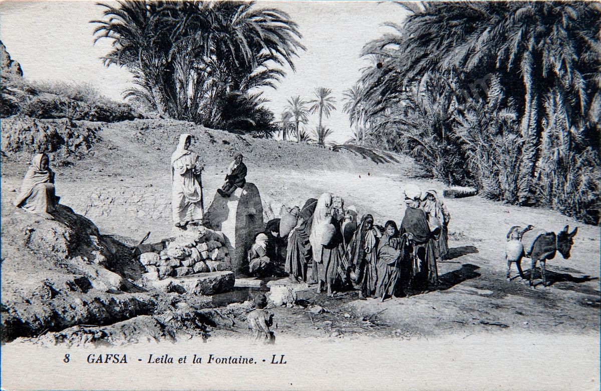 P168-003