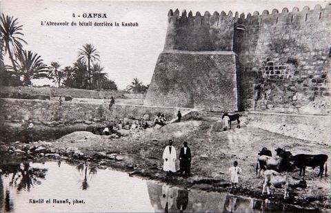 L'abreuvoir du bétail derrière la Kasbah de Gafsa - datée 1905 - Carte postale ancienne Tunisie