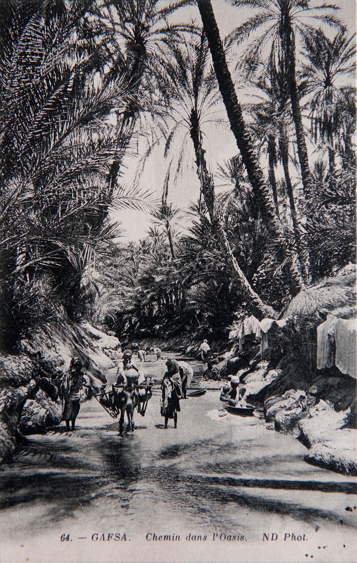 P168-008