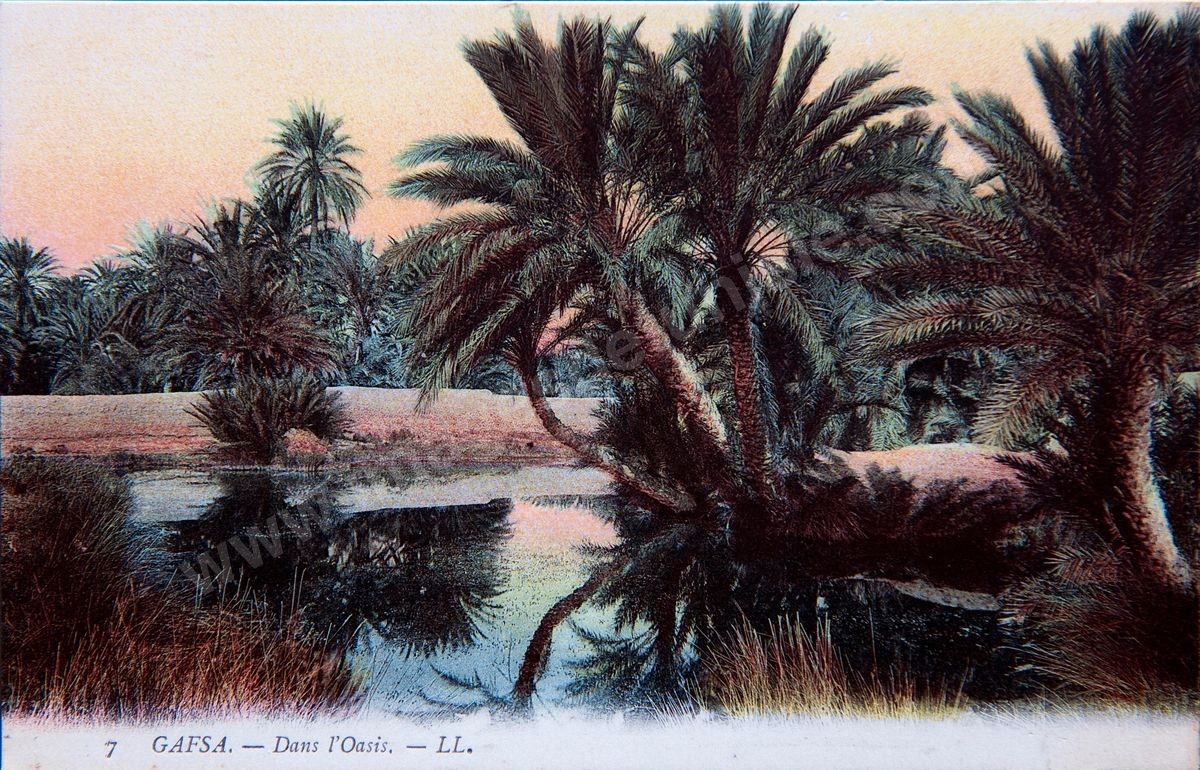 P168-009