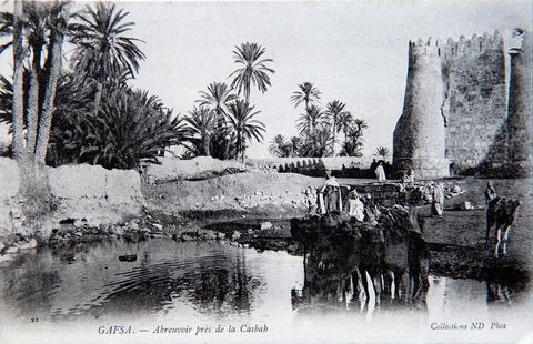 L'abreuvoir du bétail derrière la Kasbah de Gafsa - datée 1905 - Carte postale ancienne Tunisie