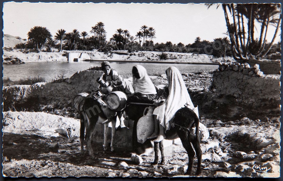 P168-019