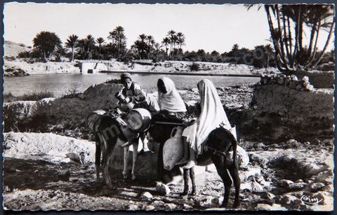 Ravitaillement au Puits au bord de l'Oued à Gafsa - Carte postale ancienne Tunisie
