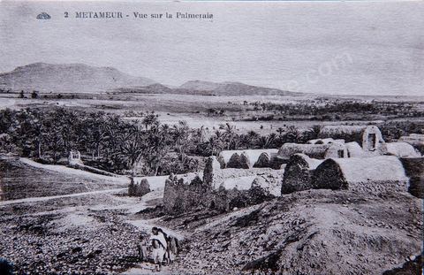 Vue sur la Palmeraie de Metameur - Carte postale ancienne Tunisie