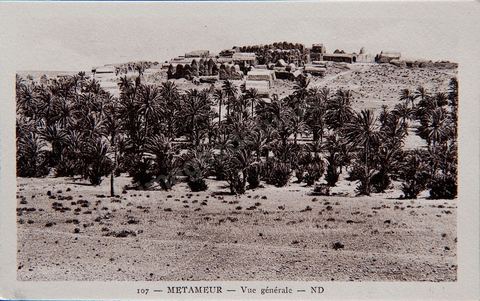Vue sur la Palmeraie et le village de Metameur - Carte postale ancienne Tunisie