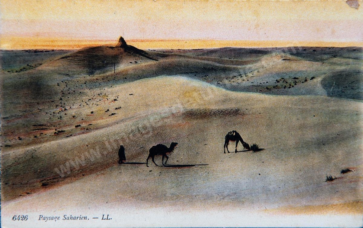 P180 DESERT