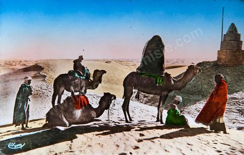 Halte au désert 1955 - Carte postale ancienne Tunisie