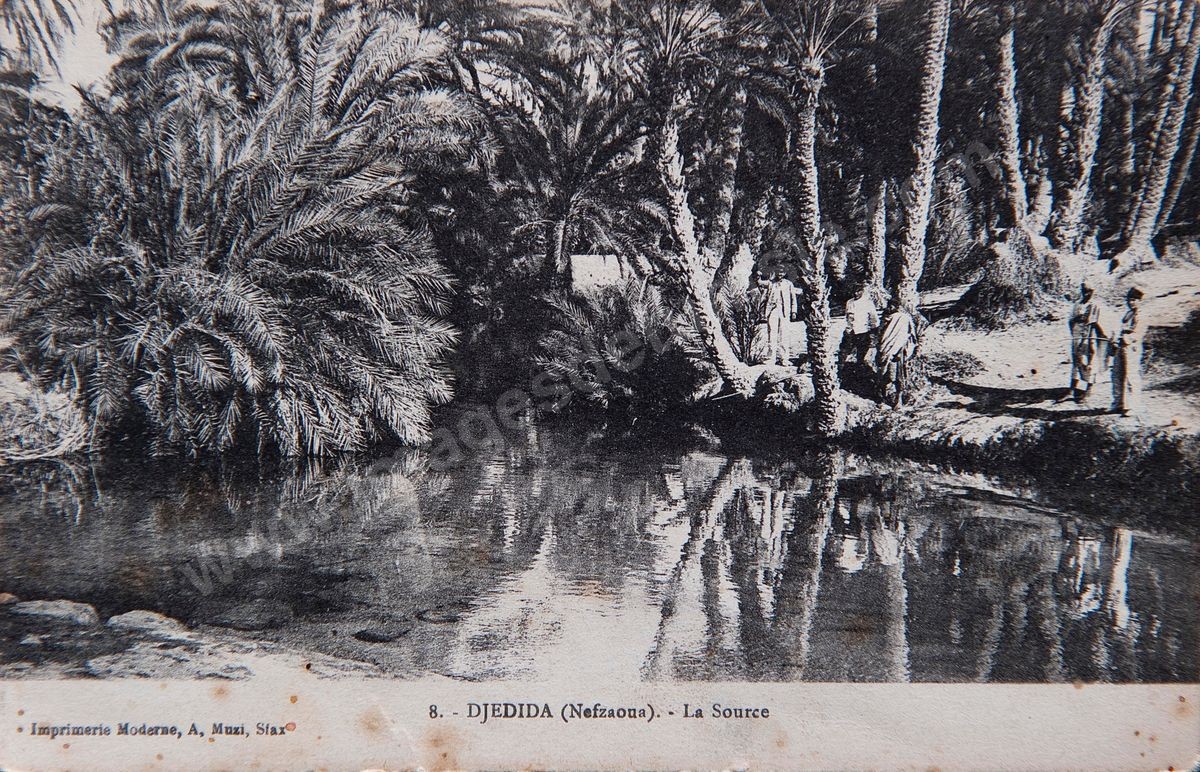 P181-002