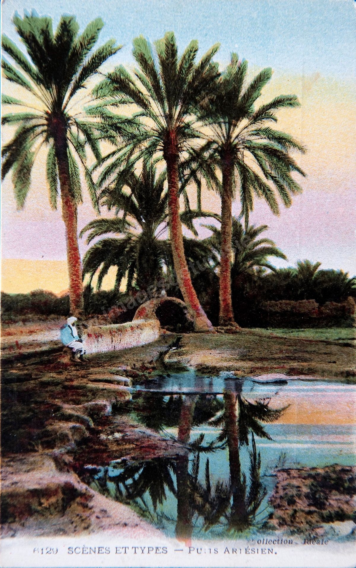 P181-003