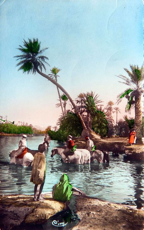 La rivière 1955 - Carte postale ancienne Tunisie