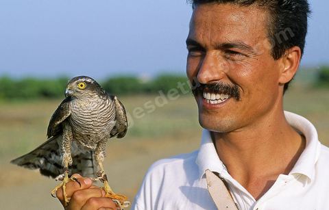 El Haouaria, est une ville située à l'extrémité nord-est du cap Bon, à l'entrée du golfe de Tunis. C'est un refuge de prédilection pour une multitude d'oiseaux migrateurs et un haut lieu de la fauconnerie depuis l'antiquité. L'Association des amis des animaux, créée en 1975, mène un efficace travail de sensibilisation de la population à la protection des oiseaux et plus spécialement des rapaces.