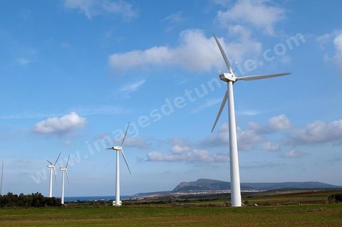 Champ d'éoliennes de la STEG à Sidi Daoud au nord du Cap Bon