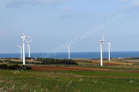 Champ d'éoliennes de la STEG à Sidi Daoud au nord du Cap Bon