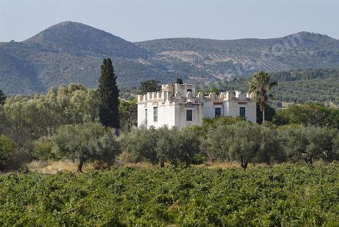 Vendanges dans la région de Grombalia