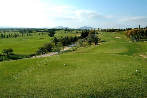 Terrain de golf Cytrus a Hammamet
