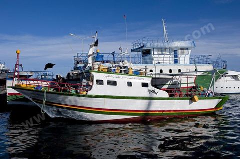 Port de plaisance et de pêche de Kelibia
