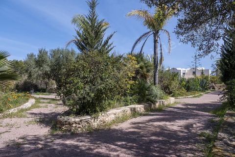 Jardin botannique au village Ken