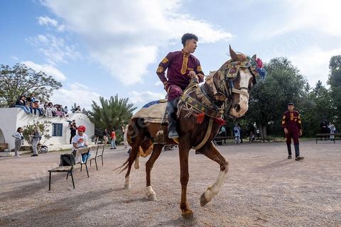 Spectacle de Fantasia au village Ken