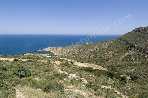 Criques sauvages, plages et montagne - Korbous