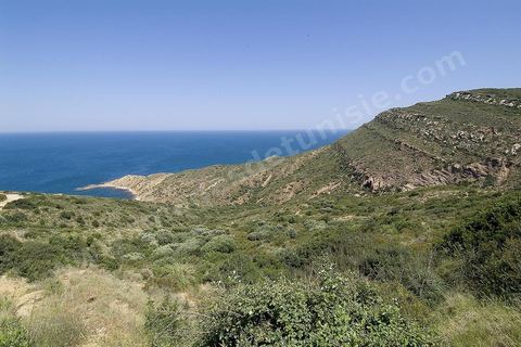 Criques sauvages, plages et montagne - Korbous