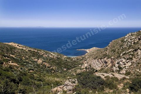 Criques sauvages, plages et montagne - Korbous