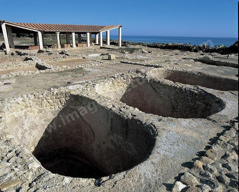 Usine de salaison de poisson et fabrication du garum, Nabeul