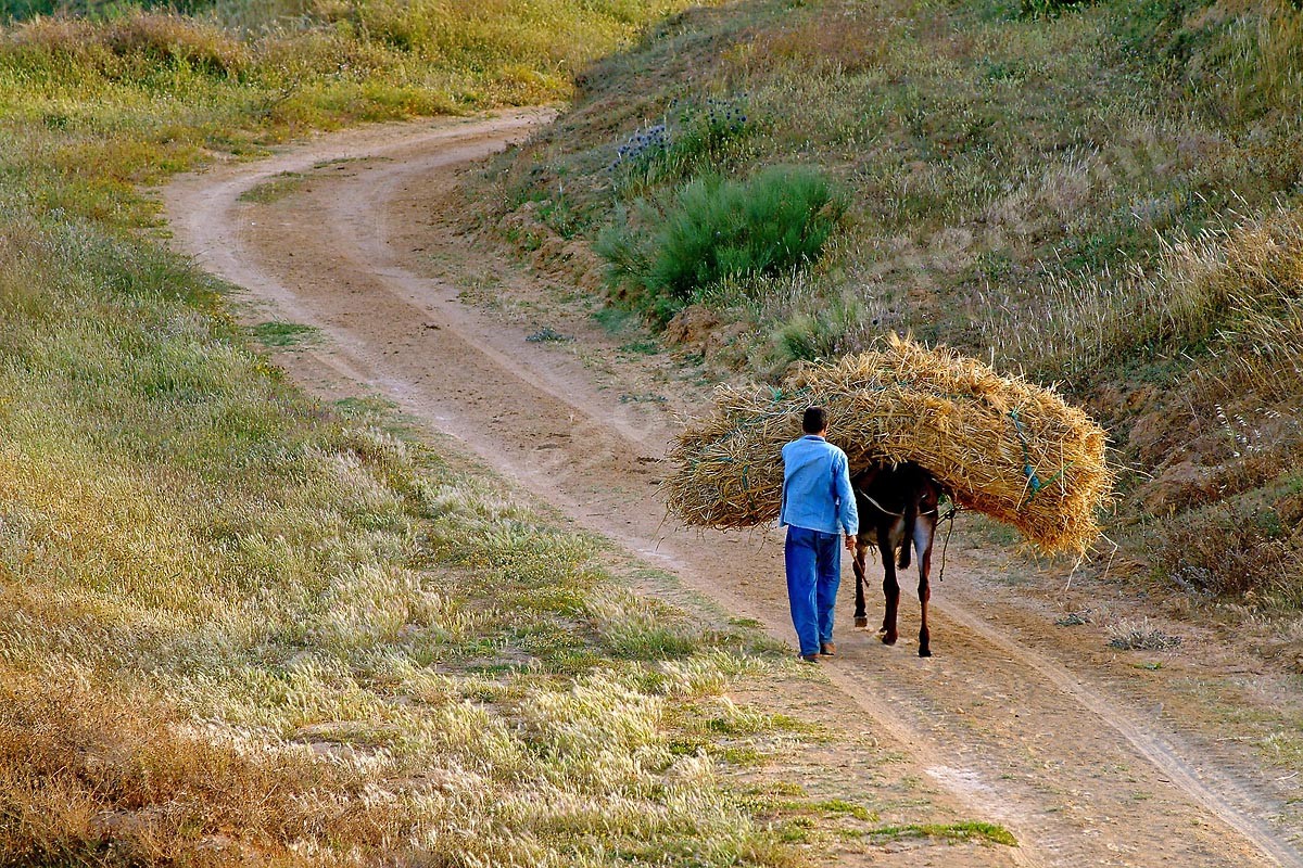 C10-13