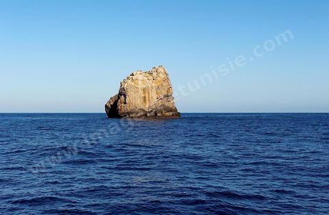 île de Zembra au large du Cap Bon