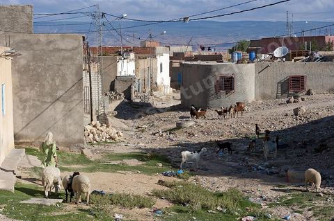26 septembre 2011 : au coeur des quartiers populaires de la Cité Ezzouhour quartier de la révolution tunisienne à Kasserine