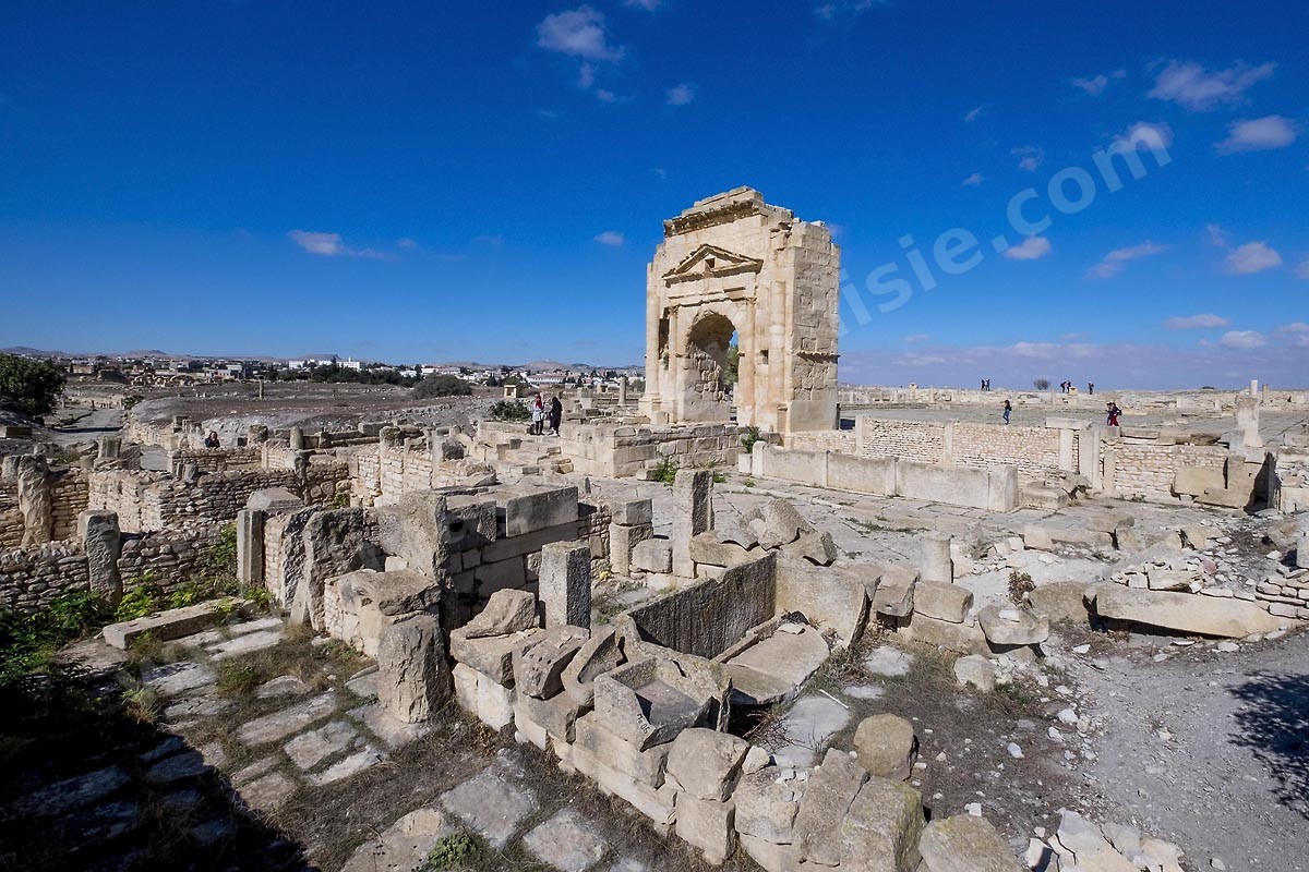 D11-026