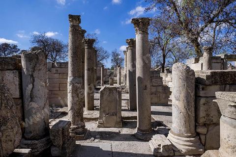 La Schola des Juvenes sur le site archéologique de Makthar, vestige de l'antique Mactaris, au centre-ouest de la Tunisie, est situé à Makthar, ville sur la bordure nord de la dorsale tunisienne.Le site est l'un des plus étendus du pays, et une grande partie n'a pas encore fait l'objet de recherches archéologiques. Outre les nombreux vestiges qu'il abrite au sein d'un parc archéologique comme le forum, les thermes, la schola des Juvenes, ... un petit musée présente diverses pièces archéologiques trouvées sur le site.