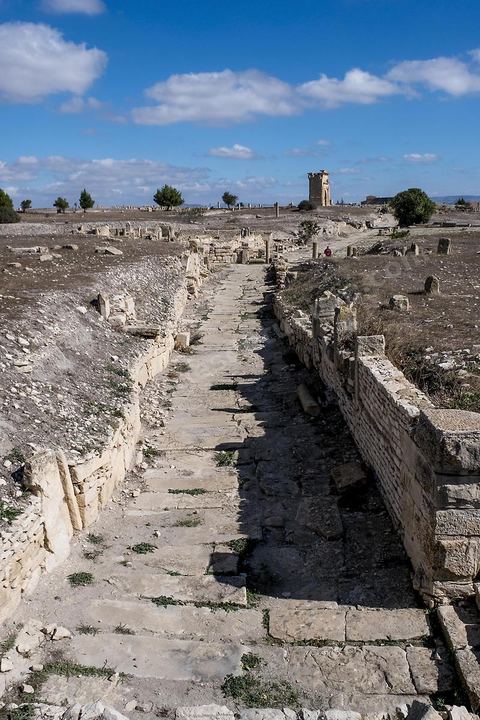 Le site archéologique de Makthar, vestige de l'antique Mactaris, au centre-ouest de la Tunisie, est situé à Makthar, ville sur la bordure nord de la dorsale tunisienne.Le site est l'un des plus étendus du pays, et une grande partie n'a pas encore fait l'objet de recherches archéologiques. Outre les nombreux vestiges qu'il abrite au sein d'un parc archéologique comme le forum, les thermes, la schola des Juvenes, ... un petit musée présente diverses pièces archéologiques trouvées sur le site.