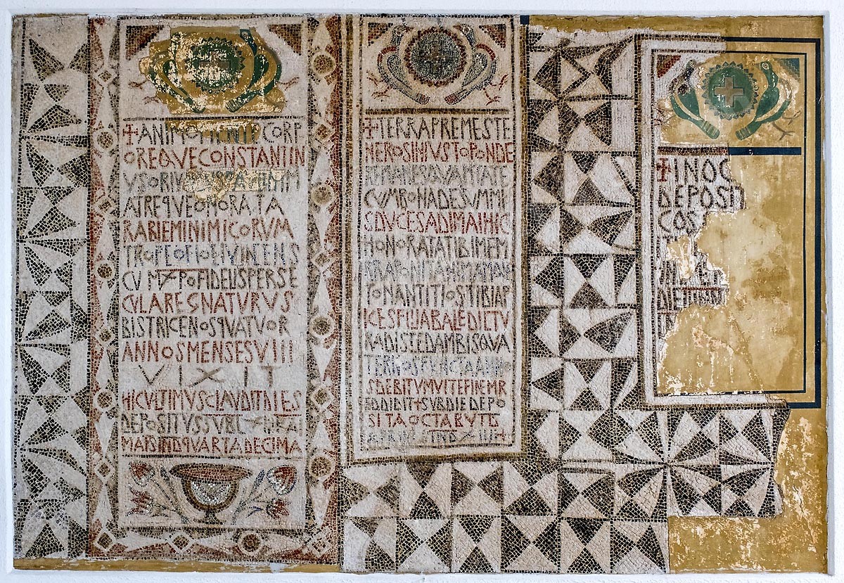 D11-119