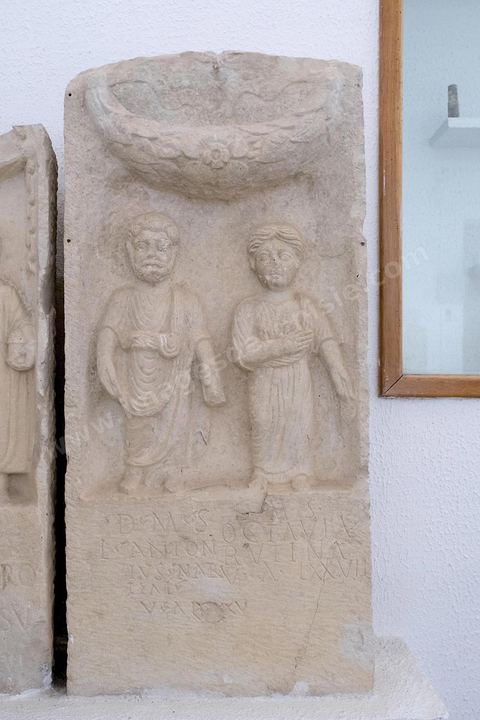 Musée archéologique sur le site archéologique de Makthar, vestige de l'antique Mactaris, au centre-ouest de la Tunisie, est situé à Makthar, ville sur la bordure nord de la dorsale tunisienne.Le site est l'un des plus étendus du pays, et une grande partie n'a pas encore fait l'objet de recherches archéologiques. Outre les nombreux vestiges qu'il abrite au sein d'un parc archéologique comme le forum, les thermes, la schola des Juvenes, ... un petit musée présente diverses pièces archéologiques trouvées sur le site.