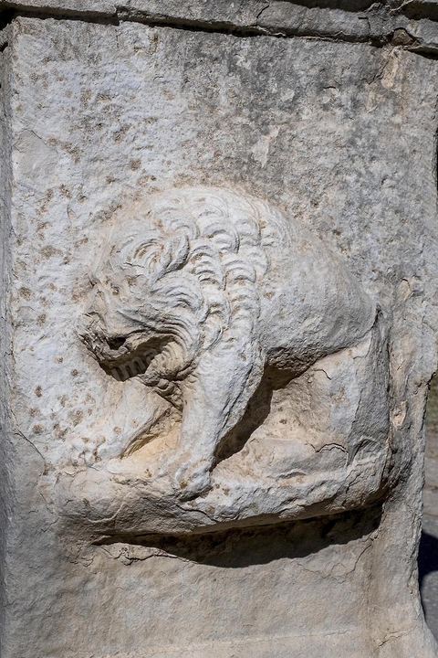 Musée archéologique sur le site archéologique de Makthar, vestige de l'antique Mactaris, au centre-ouest de la Tunisie, est situé à Makthar, ville sur la bordure nord de la dorsale tunisienne.Le site est l'un des plus étendus du pays, et une grande partie n'a pas encore fait l'objet de recherches archéologiques. Outre les nombreux vestiges qu'il abrite au sein d'un parc archéologique comme le forum, les thermes, la schola des Juvenes, ... un petit musée présente diverses pièces archéologiques trouvées sur le site.