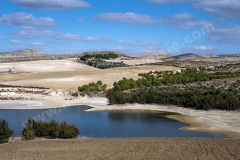 Paysage dans la région de Makthar