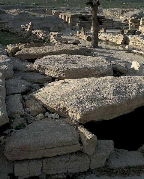 Tombes megalithiques sur le site archéologique de Makthar, vestige de l'antique Mactaris, au centre-ouest de la Tunisie, est situé à Makthar, ville sur la bordure nord de la dorsale tunisienne.Le site est l'un des plus étendus du pays, et une grande partie n'a pas encore fait l'objet de recherches archéologiques. Outre les nombreux vestiges qu'il abrite au sein d'un parc archéologique comme le forum, les thermes, la schola des Juvenes, ... un petit musée présente diverses pièces archéologiques trouvées sur le site.