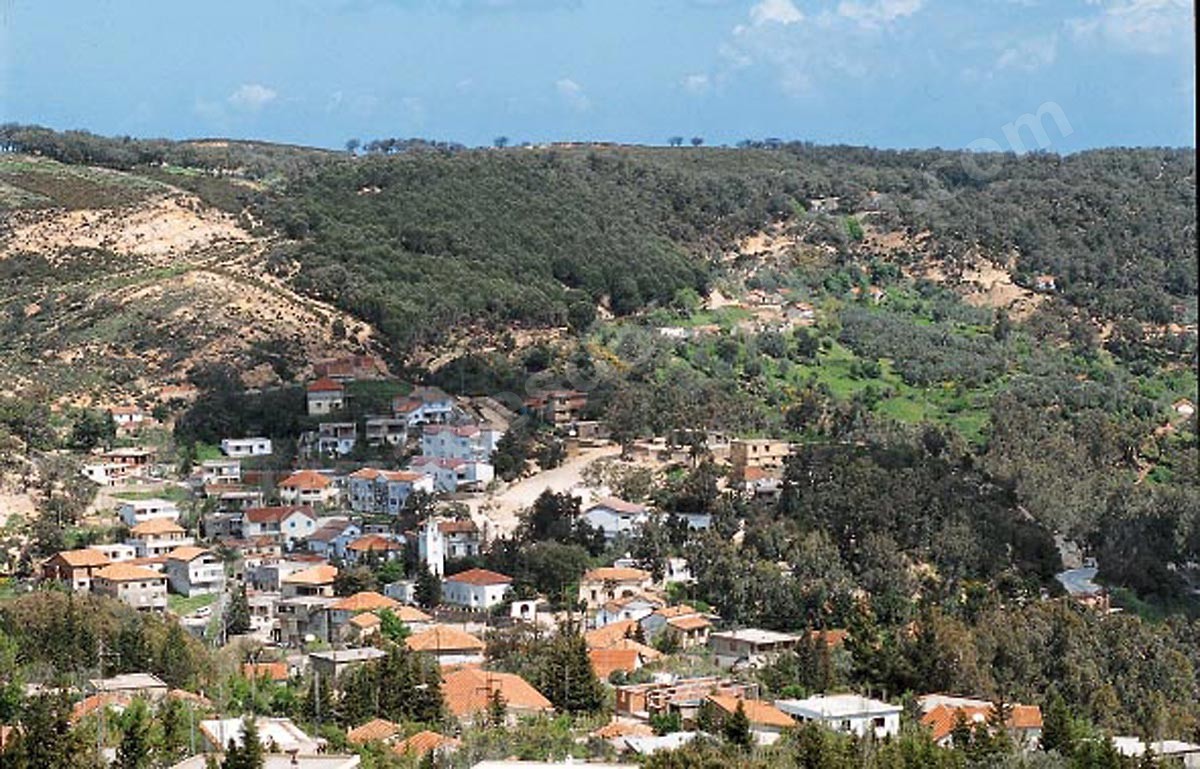 Ain Draham