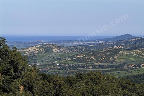 Paysage dans les montagnes de Kroumirie