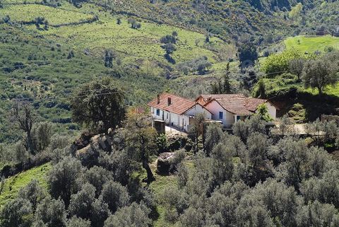 Paysage dans les montagnes de Kroumirie