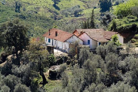 Paysage dans les montagnes de Kroumirie