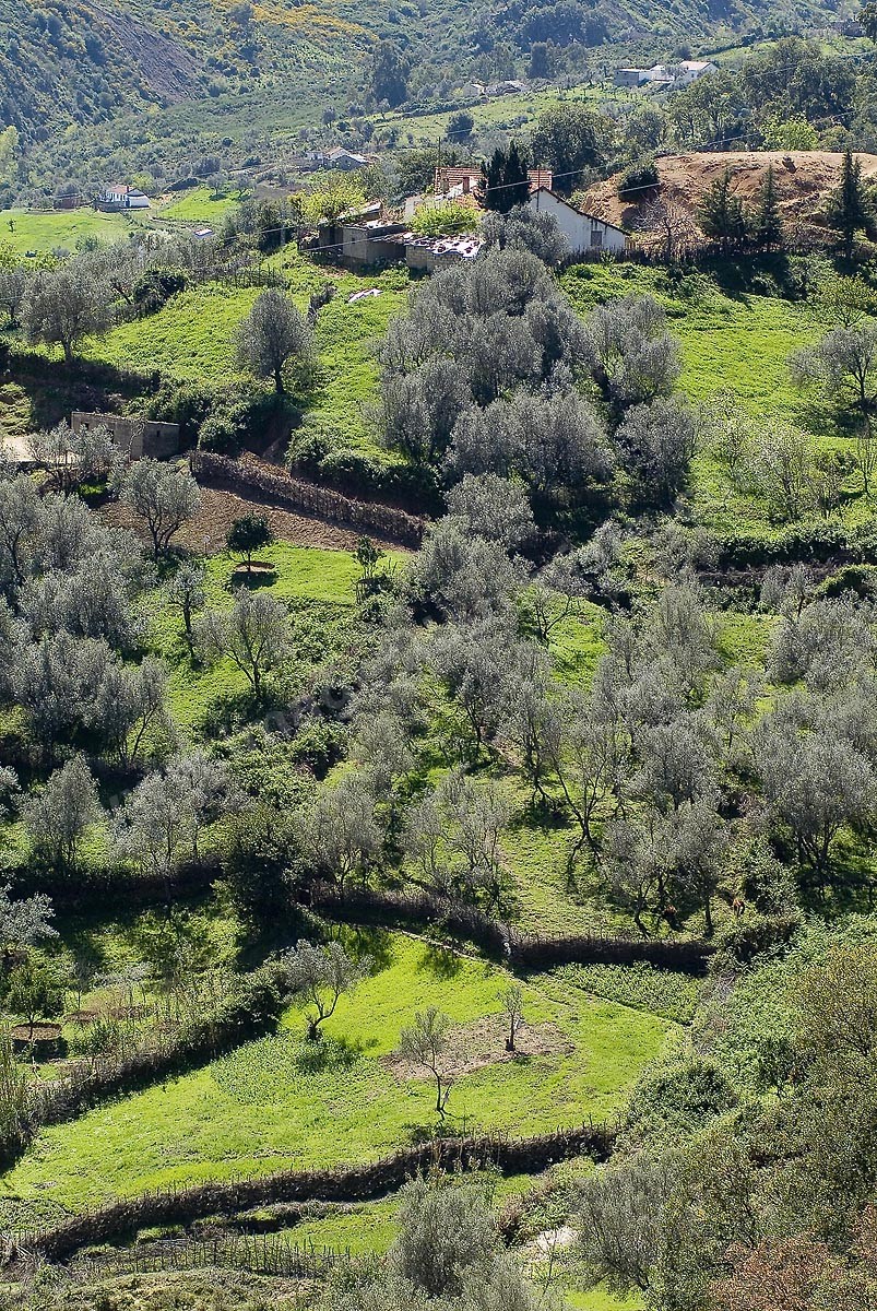 B08-09