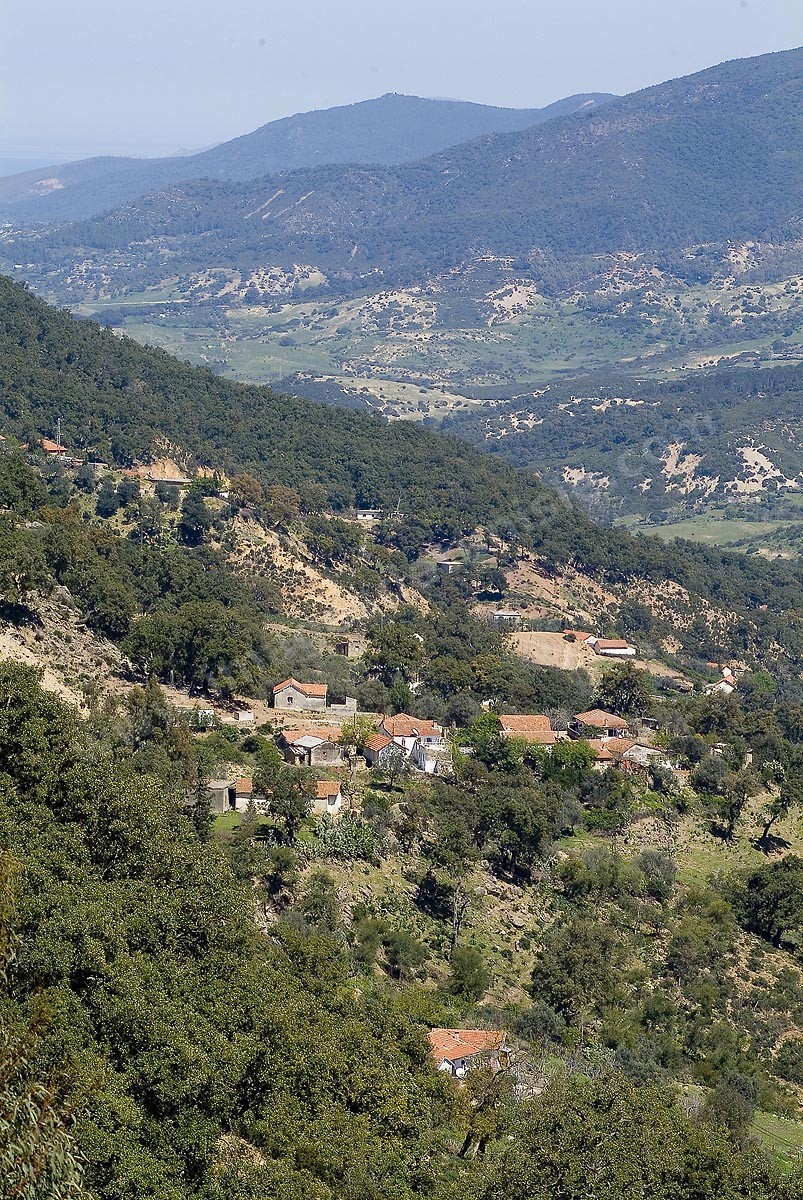 B08-11