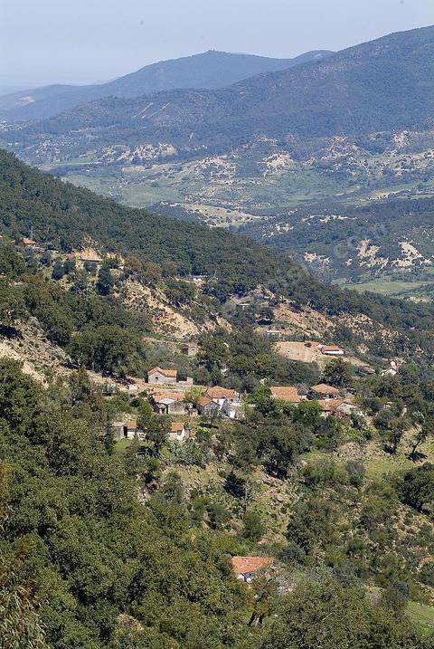 Paysage dans les montagnes de Kroumirie