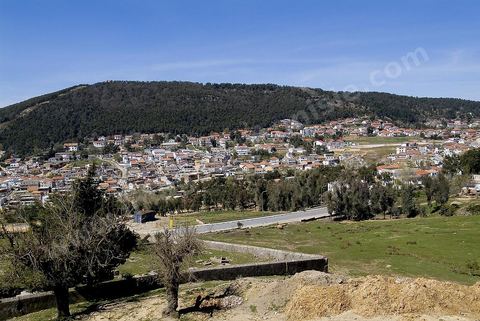 village de Ain Draham dans les montagnes de Kroumirie