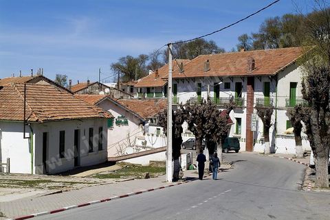 Rue de Ain Draham