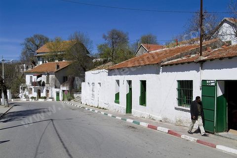 Rue de Ain Draham